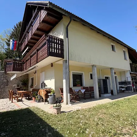 Life Apartment