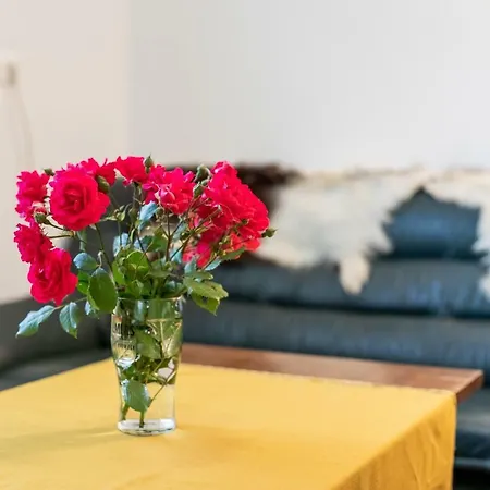 Life Apartament Bled